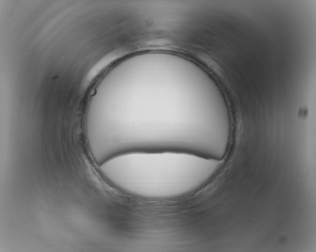 X0000111131458200906301053