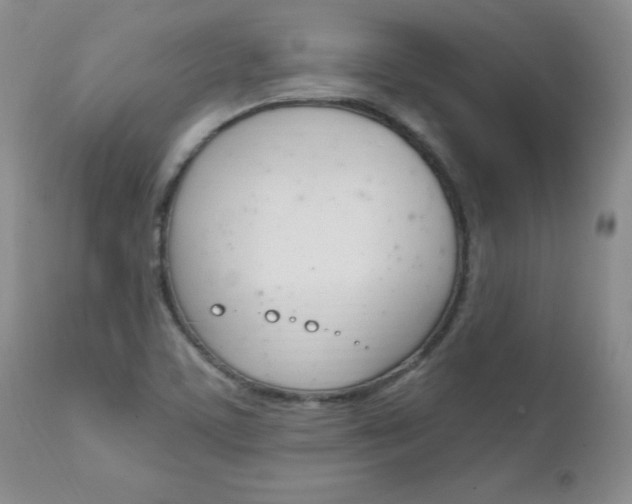 X0000111131459200906301053
