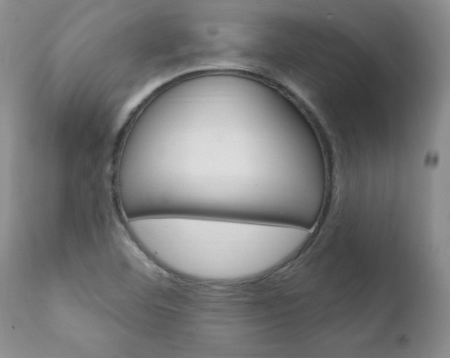 X0000111131460200906301053