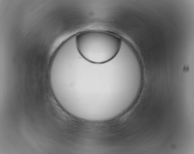 X0000111131461200906301053