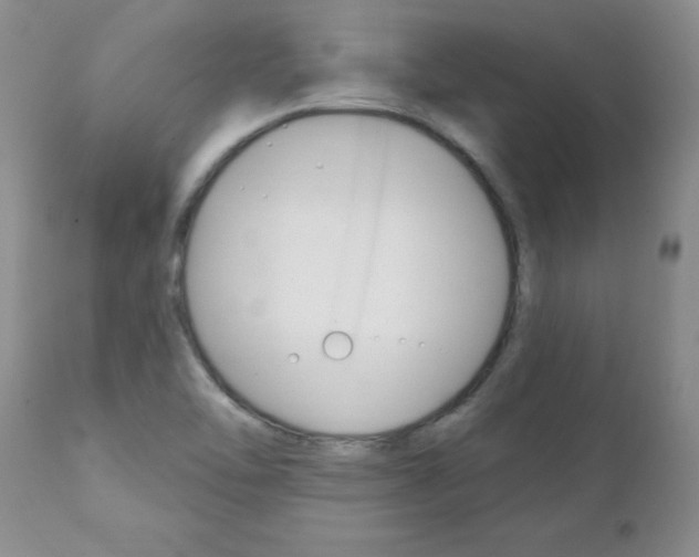 X0000111131462200906301053