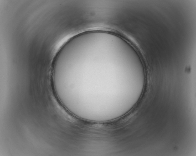 X0000111131463200906301053