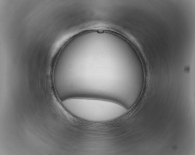 X0000111131464200906301053