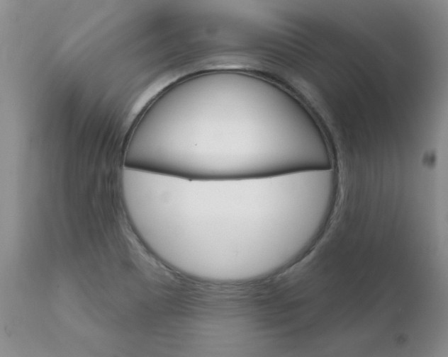 X0000111131465200906301053