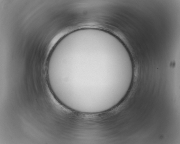 X0000111131466200906301053