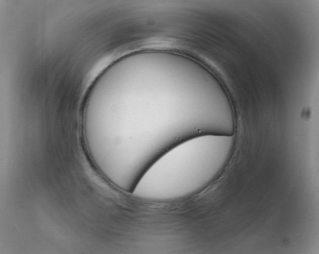 X0000111131467200906301053