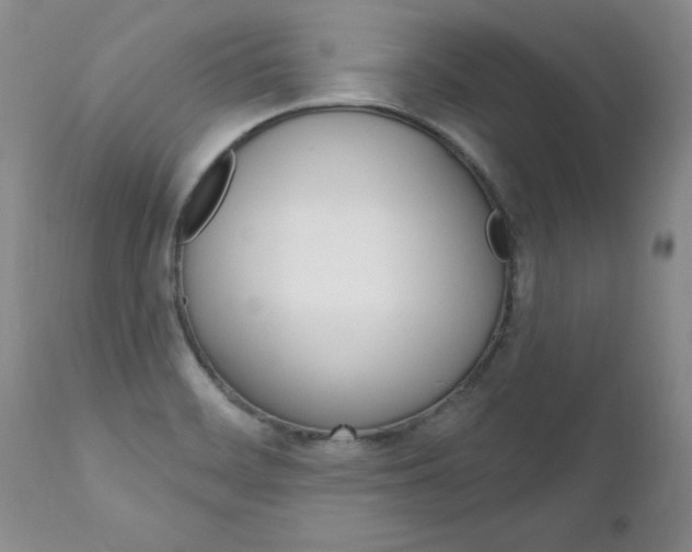 X0000111131468200906301053