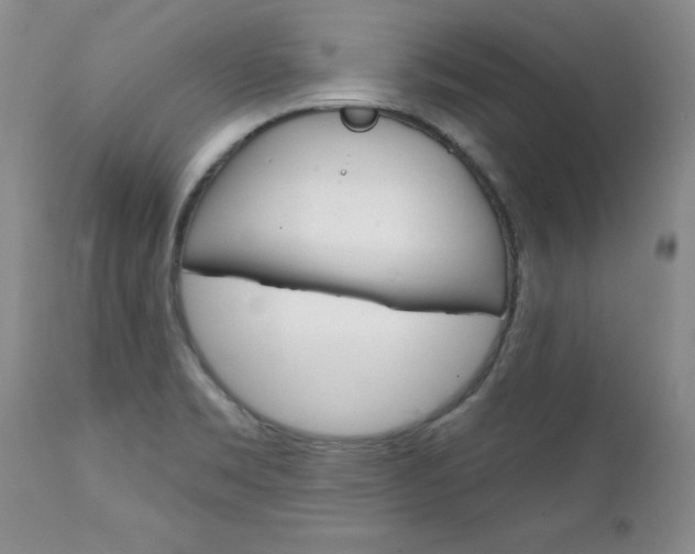 X0000111131469200906301053