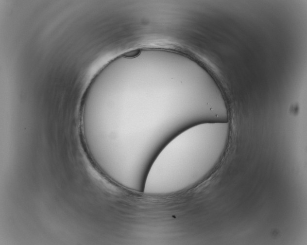 X0000111131471200906301053