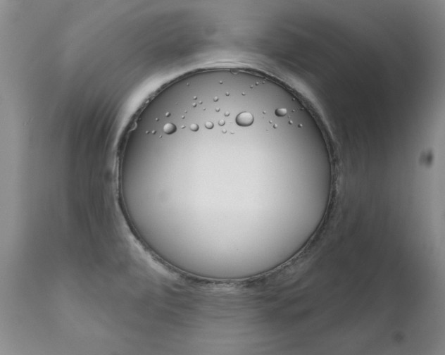 X0000111131472200906301053