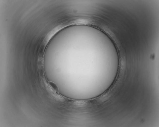 X0000111131473200906301053