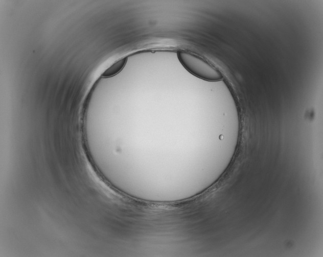 X0000111131475200906301053
