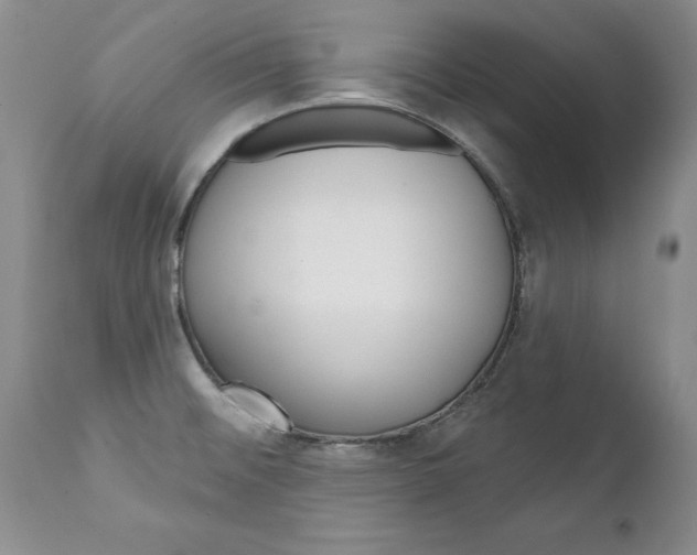 X0000111131476200906301053