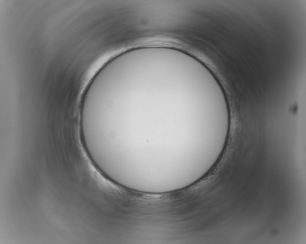 X0000111131478200906301053