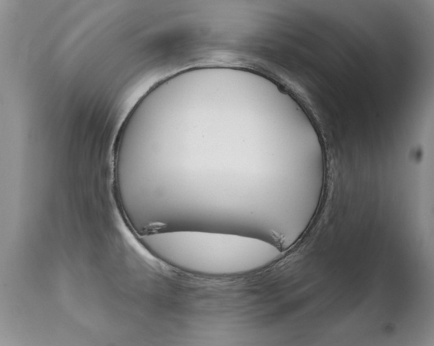 X0000111131479200906301053
