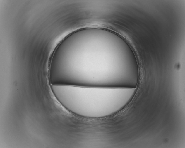 X0000111131480200906301053