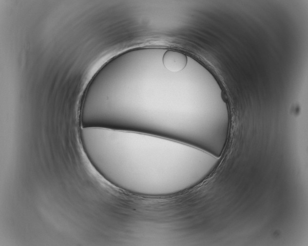 X0000111131483200906301053