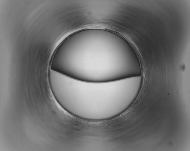 X0000111131484200906301053