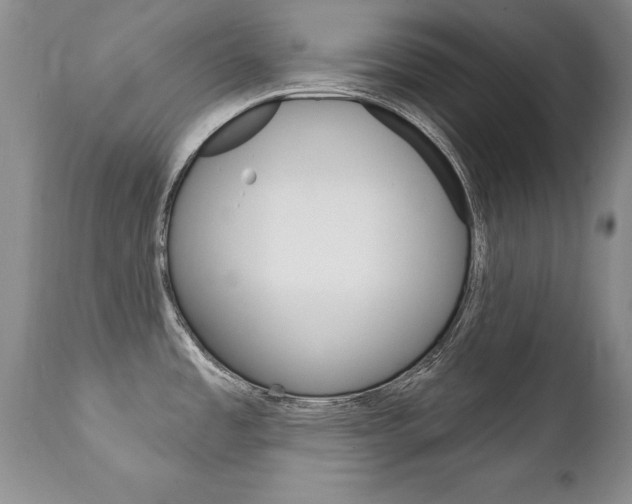 X0000111131485200906301053