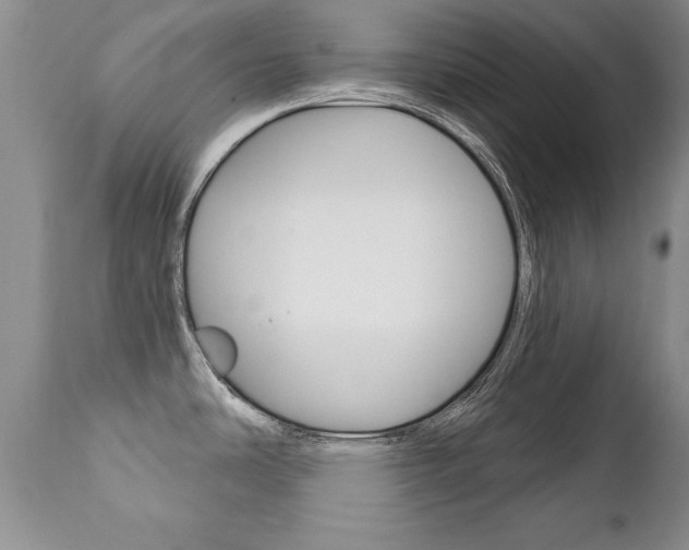 X0000111131486200906301053