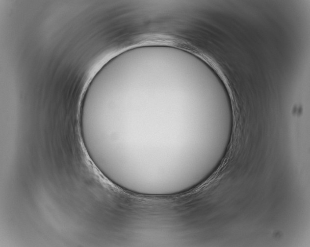 X0000111131488200906301053