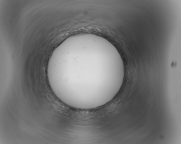 X0000111131489200906301052