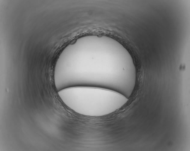 X0000111131490200906301052