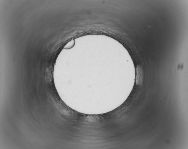 X0000111131491200906301052