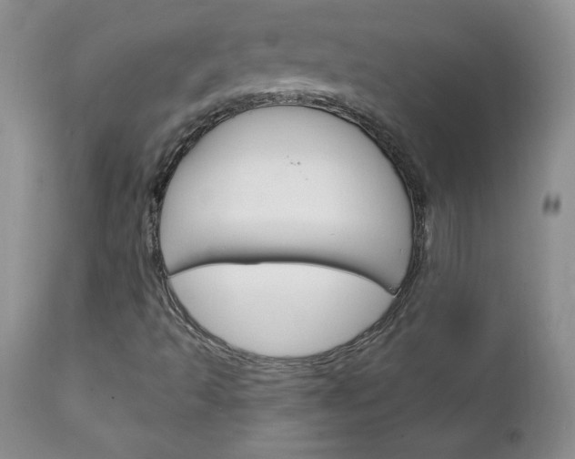 X0000111131493200906301052