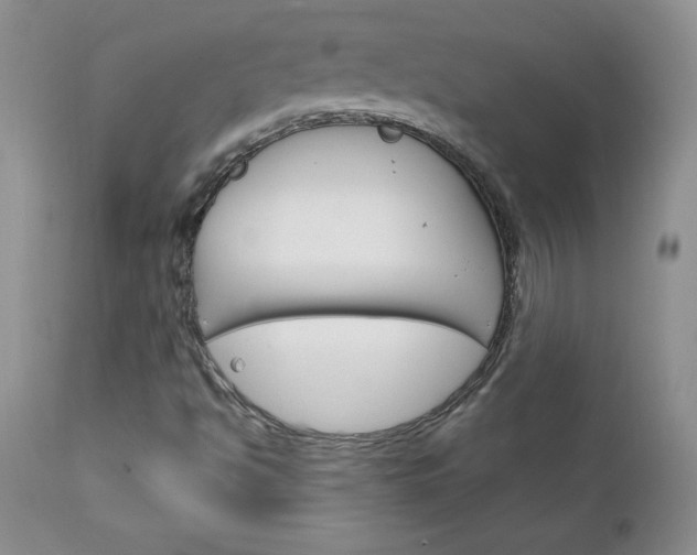 X0000111131494200906301052