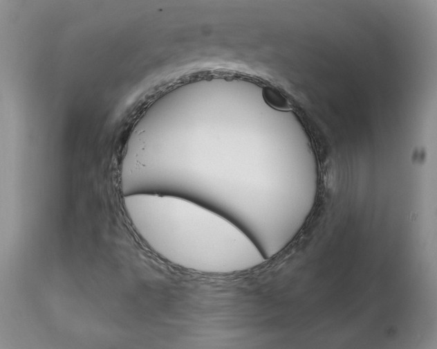 X0000111131495200906301052