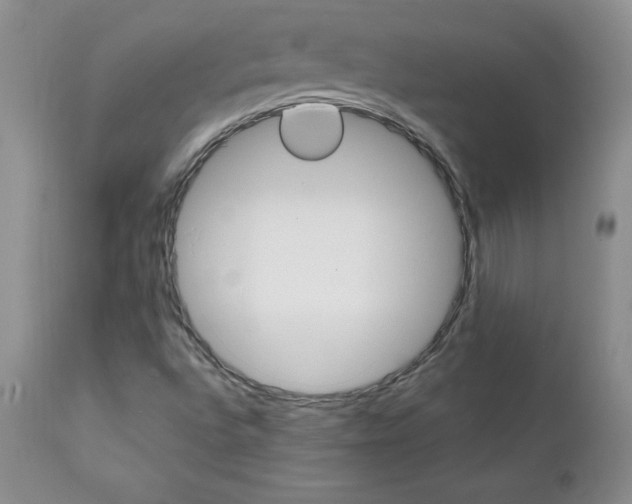 X0000111131496200906301052