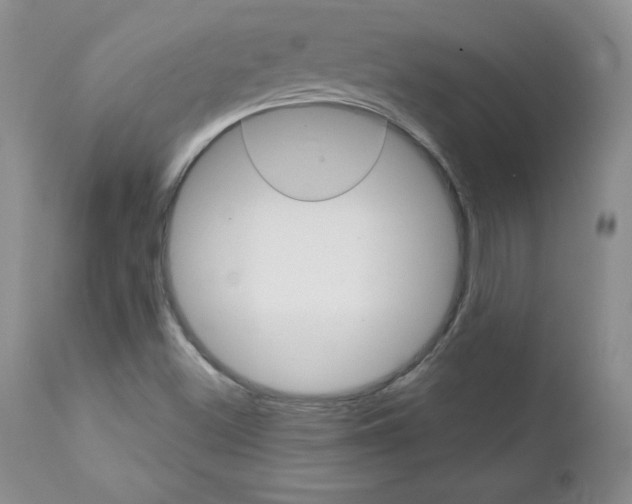 X0000111131500200906301052