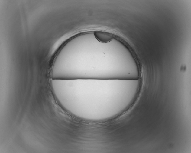 X0000111131501200906301052