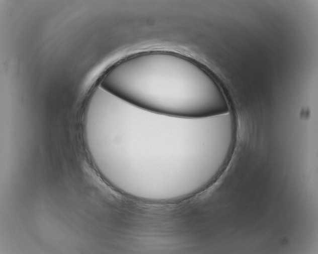 X0000111131502200906301052