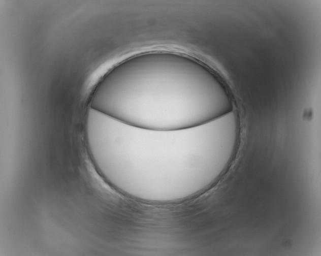 X0000111131504200906301052