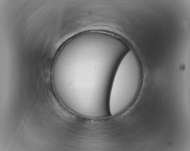 X0000111131505200906301052