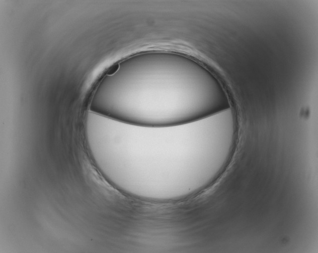 X0000111131506200906301052