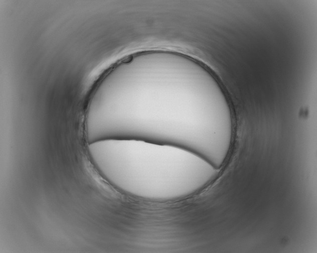 X0000111131507200906301052