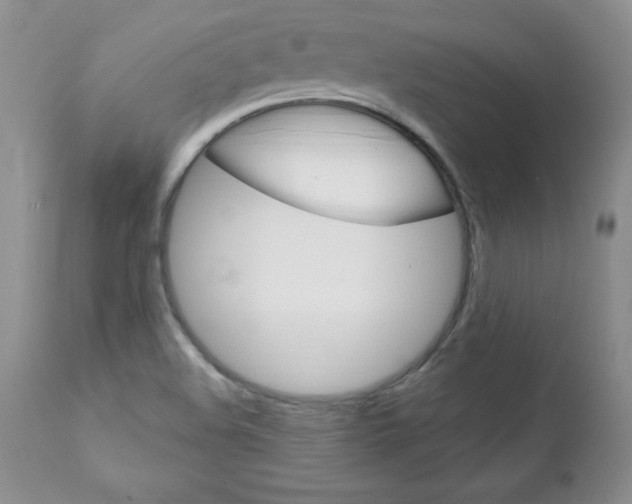 X0000111131508200906301052