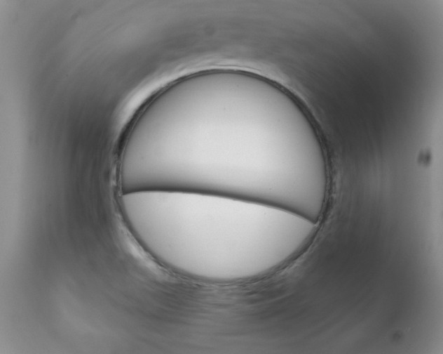 X0000111131511200906301052