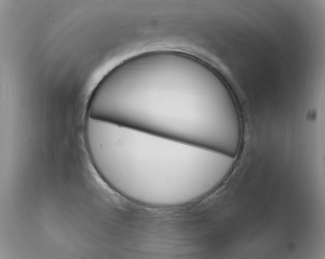 X0000111131512200906301052
