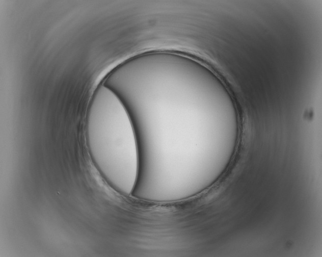 X0000111131513200906301052