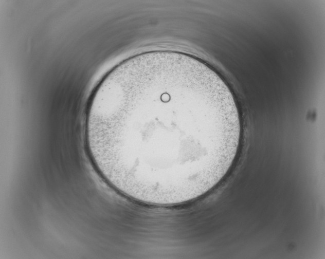 X0000111131514200906301052