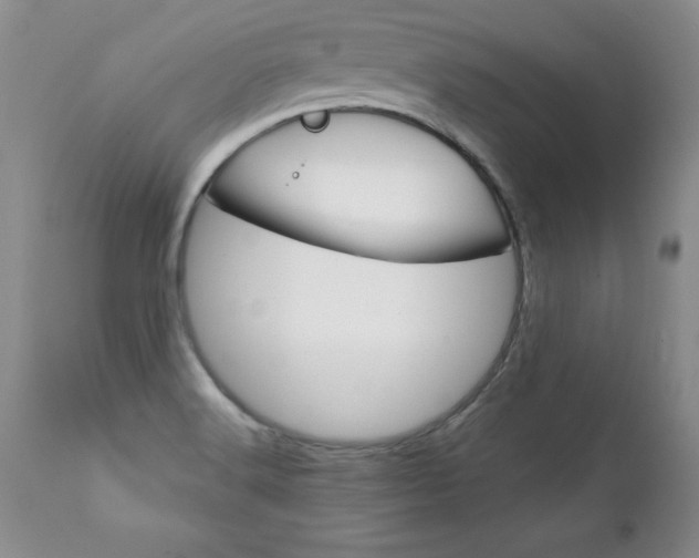 X0000111131516200906301052