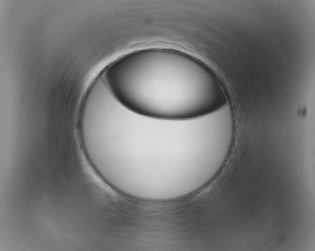 X0000111131518200906301052