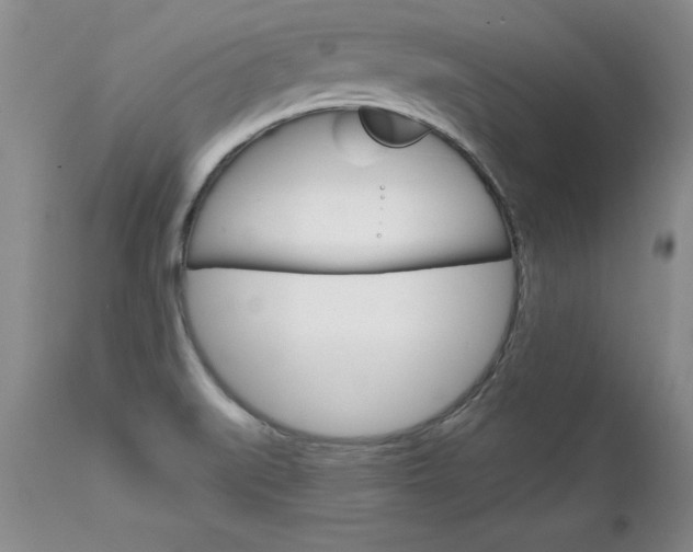 X0000111131519200906301052