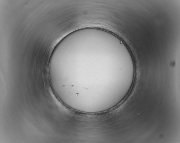X0000111131521200906301052