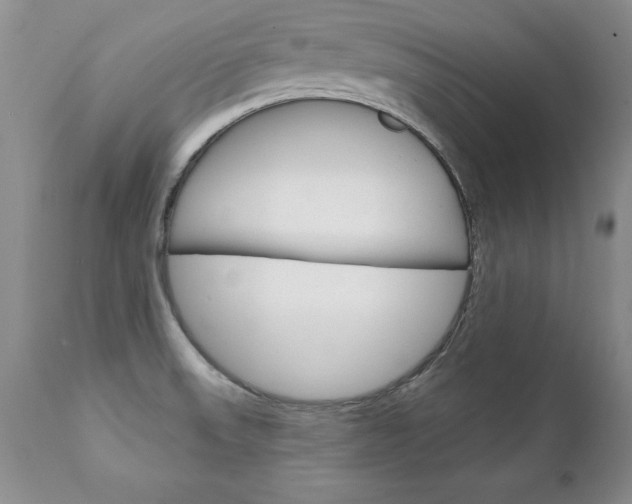 X0000111131523200906301052