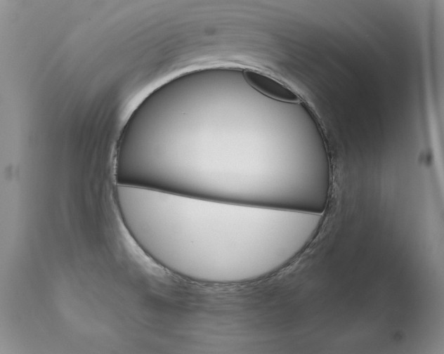 X0000111131524200906301052